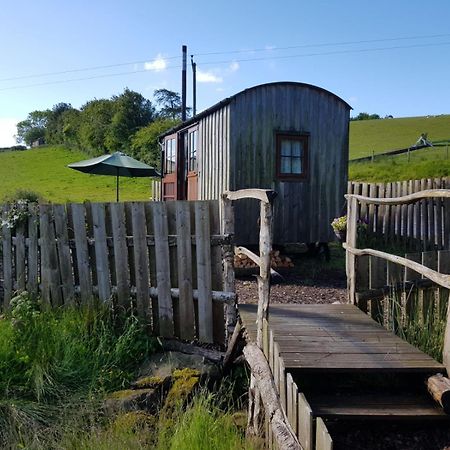 Eco Accommodation Cornflower Craven Arms Eksteriør bilde