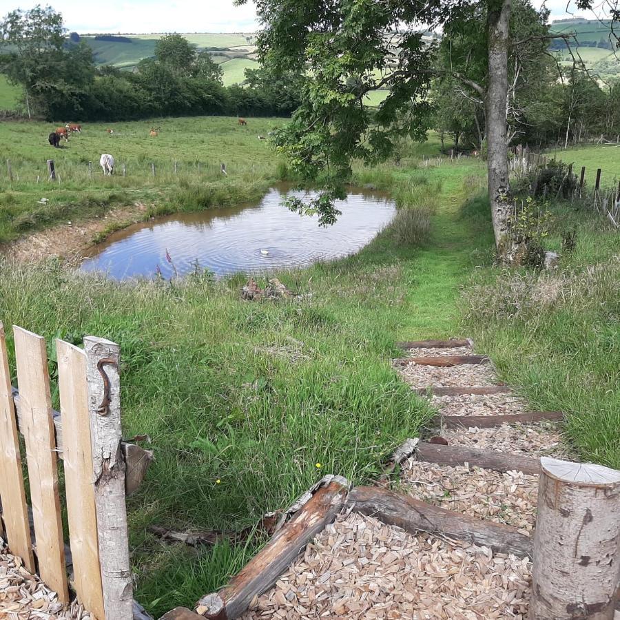 Eco Accommodation Cornflower Craven Arms Eksteriør bilde