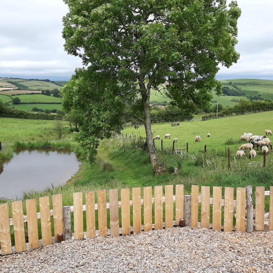 Eco Accommodation Cornflower Craven Arms Eksteriør bilde