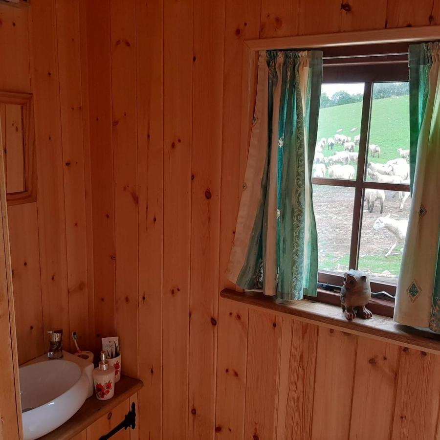 Eco Accommodation Cornflower Craven Arms Eksteriør bilde