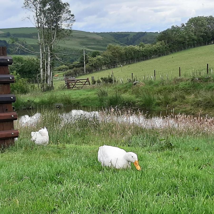 Eco Accommodation Cornflower Craven Arms Eksteriør bilde