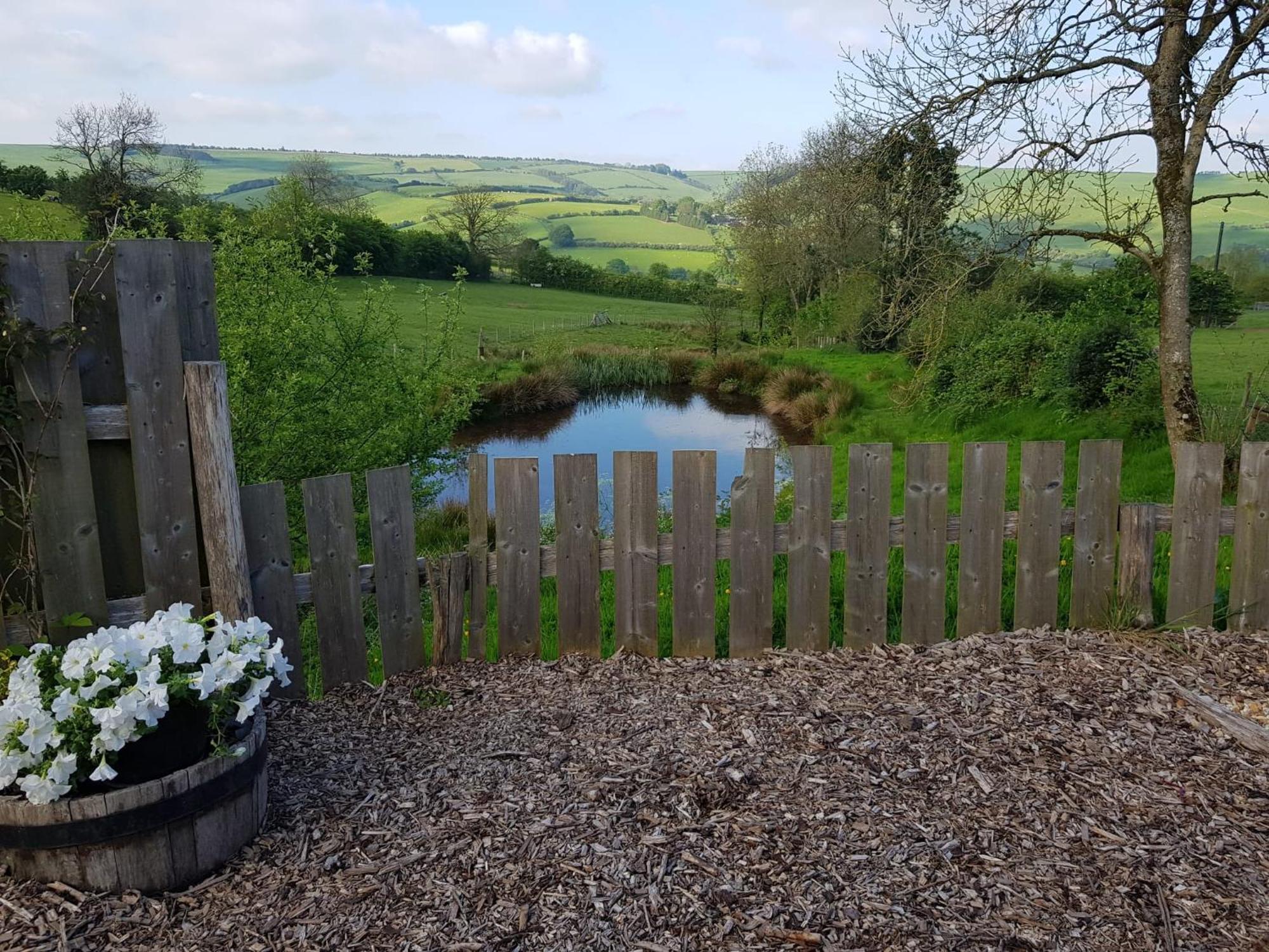 Eco Accommodation Cornflower Craven Arms Eksteriør bilde