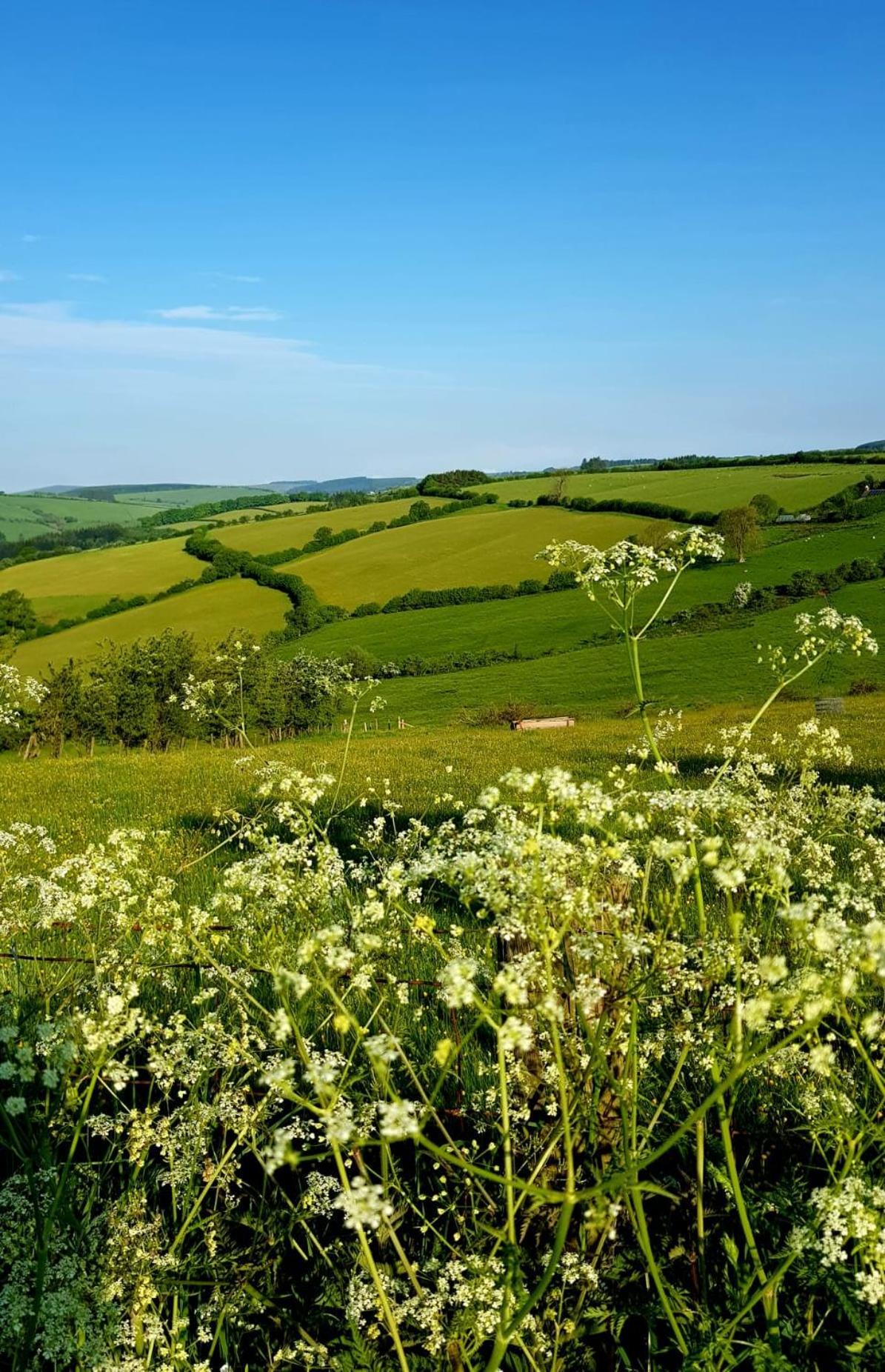 Eco Accommodation Cornflower Craven Arms Eksteriør bilde